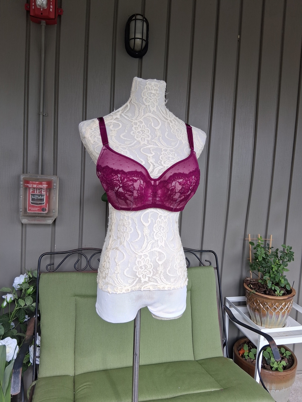 Torrid Plum Lace Underwire Sexy Bra Sz 38C NWT